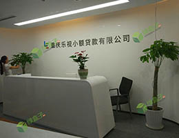 乐视小额贷款公司重庆植物租摆案例
