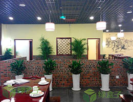 重庆某餐厅植物租赁
