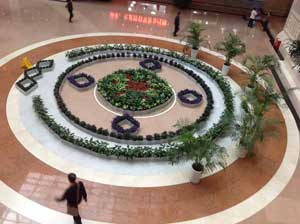 重庆某商场大厅内部植物租摆案例展示