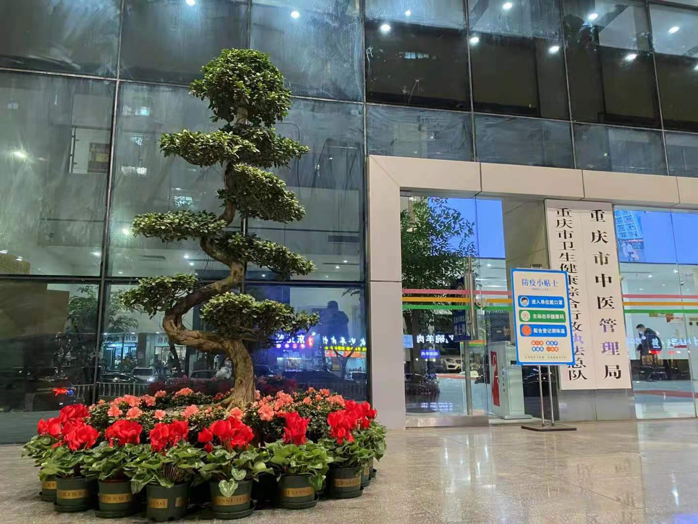 重庆中医管理局植物租摆案例