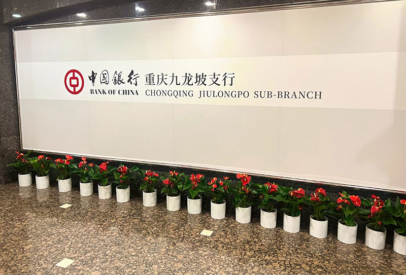 中国银行九龙坡支行植物租摆​案例